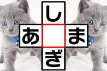 分かったあなたは博識!?クロスワードで脳トレだ！【毎日脳トレ】【クイズ】