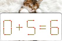 【マッチ棒パズル】シンプルだけど難しい！「0＋5=6」どこを動かす？【毎日脳トレ】