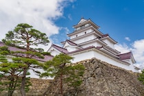 【5月8日は松の日】日本のお城でよく植えられている松の木。その理由はなぜ？