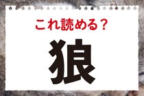 【毎日脳トレ】この動物な～んだ？「狼」