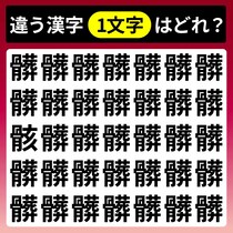 【間違い探し】違う文字はどこ？【毎日脳トレ】