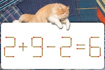 どこがおかしいかな？「2+9-2=6」マッチ棒クイズ初級編！【毎日脳トレ】【クイズ】