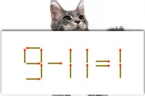 【マッチ棒パズル】これは難しい！「9－11＝1」【毎日脳トレ】