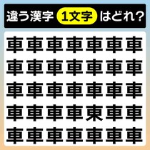 3秒チャレンジ！あなたは見つけられる？漢字間違い探しに挑戦！【毎日脳トレ】【クイズ】