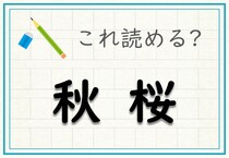 【毎日脳トレ】難読漢字クイズ！「秋桜」と書いてなんと読む？