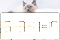 【マッチ棒パズル】パッとひらめいたら天才!?「16－3＋11=17」脳トレでリフレッシュ！【毎日脳トレ】