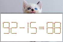 【マッチ棒パズル】ちょっと難しい！「92－15=88」【毎日脳トレ】
