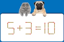 マッチ棒1本しか動かせない！「5＋3＝10」を正しくできる？【毎日脳トレ】【クイズ】