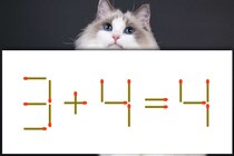 この式どこがおかしい？「3+4=4」マッチ棒クイズで脳トレ！【毎日脳トレ】【クイズ】