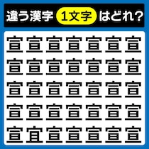 【間違い探し】似ているけど違う文字!?見つけて脳スッキリ！【毎日脳トレ】