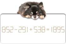 【マッチ棒パズル】難問チャレンジ！「852－291＋538＝1895」を直せますか？【毎日脳トレ】