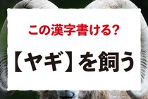 これは書けないと恥ずかしいかも！「ヒツジなら分かるけど、ヤギって!?」【毎日脳トレ】
