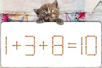 正しい式にしよう！「1+3+8=10」マッチ棒クイズ初級編！【毎日脳トレ】【クイズ】