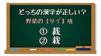 【毎日脳トレ】「野菜の＜サイ＞培」カタカナに入る正しい漢字はどっち？（初級）