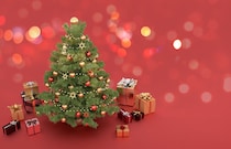 【今日は何の日】12月7日は「クリスマスツリーの日」