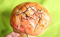 「でかすぎ」「圧倒的なサイズ」160円のローソン高コスパパン