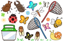 【6月4日は虫の日】なんと〇〇万種類！？世界に昆虫は何種類いるでしょう？