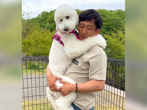 犬と初めてドッグランに行ったら…まさかの『犬見知り全開』になる姿が48万再生「大きい赤ちゃんｗ」「しがみつくの可愛すぎる」と悶絶の声