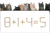 【マッチ棒パズル】この式どこがおかしい？「8＋1＋4＝5」【毎日脳トレ】