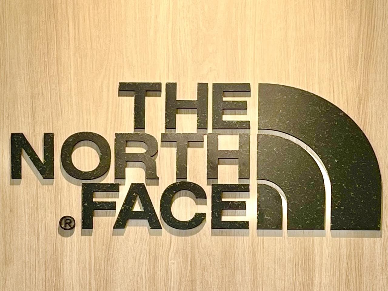 即買いが正解かも♡【THE NORTH FACE】リュックとしても使える「万能トート」