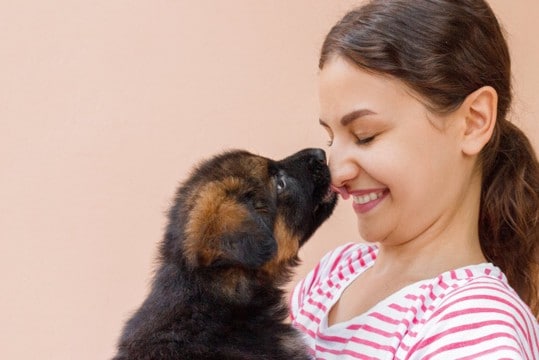 犬が『顔を執拗に舐めてくる』やめさせる方法とは？主な理由や飼い主がすべき適切な対応まで