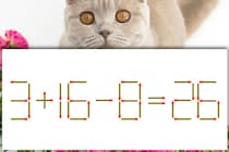 【マッチ棒パズル】正しい式にしよう「3＋16－8＝26」【毎日脳トレ】