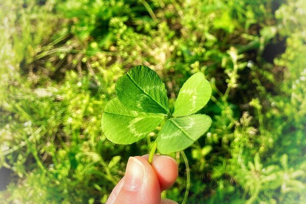 《幸福度》ワースト3位の日本人は果たして“不幸”なのか？不運を幸福に変えるシンプル思考術　心理カウンセラーが解説