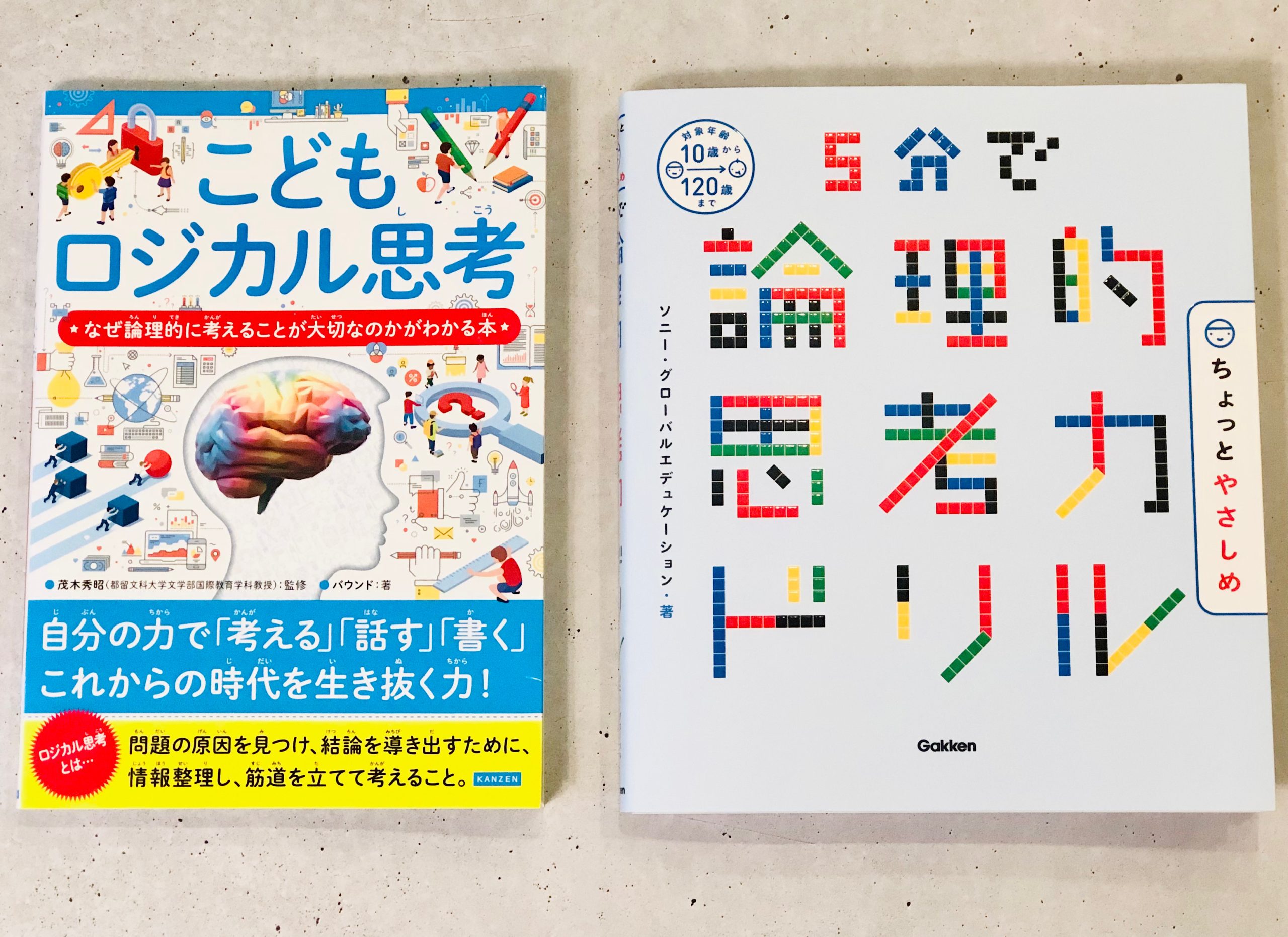 今話題の「ロジカルシンキング」ってなに？子どもと学べるおすすめ２冊！