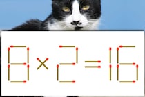 【マッチ棒パズル】この式どこがおかしい？「8×2＝16」【毎日脳トレ】
