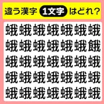 【間違い探し】違う文字を探してみよう！【毎日脳トレ】