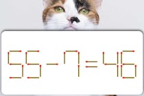 【マッチ棒パズル】解けたらすごい♪「55－7＝46」【毎日脳トレ】