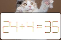 【マッチ棒パズル】正しい式に直せる？「24＋4＝35」【毎日脳トレ】