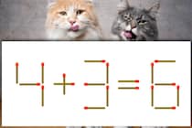 【マッチ棒パズル】1本だけ動かして正しい式にしよう！「4＋3＝6」【毎日脳トレ】