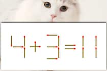 【マッチ棒パズル】正しい式にできるかな？「4＋3＝11」【毎日脳トレ】