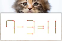 【マッチ棒パズル】正しい式にできるかな？「7－3＝11」【毎日脳トレ】