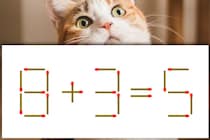 【マッチ棒パズル】10秒で解けるかな？「8＋3＝5」【毎日脳トレ】