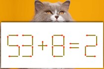 【マッチ棒パズル】10秒で正しい式にできるかな？「53＋8＝2」【毎日脳トレ】
