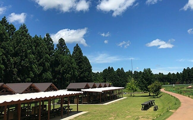 バーベキュー後は天然温泉を堪能！大自然に囲まれた農園リゾートで森遊び。千葉県香取市「THE FARM」【千葉・香取（香取市）】