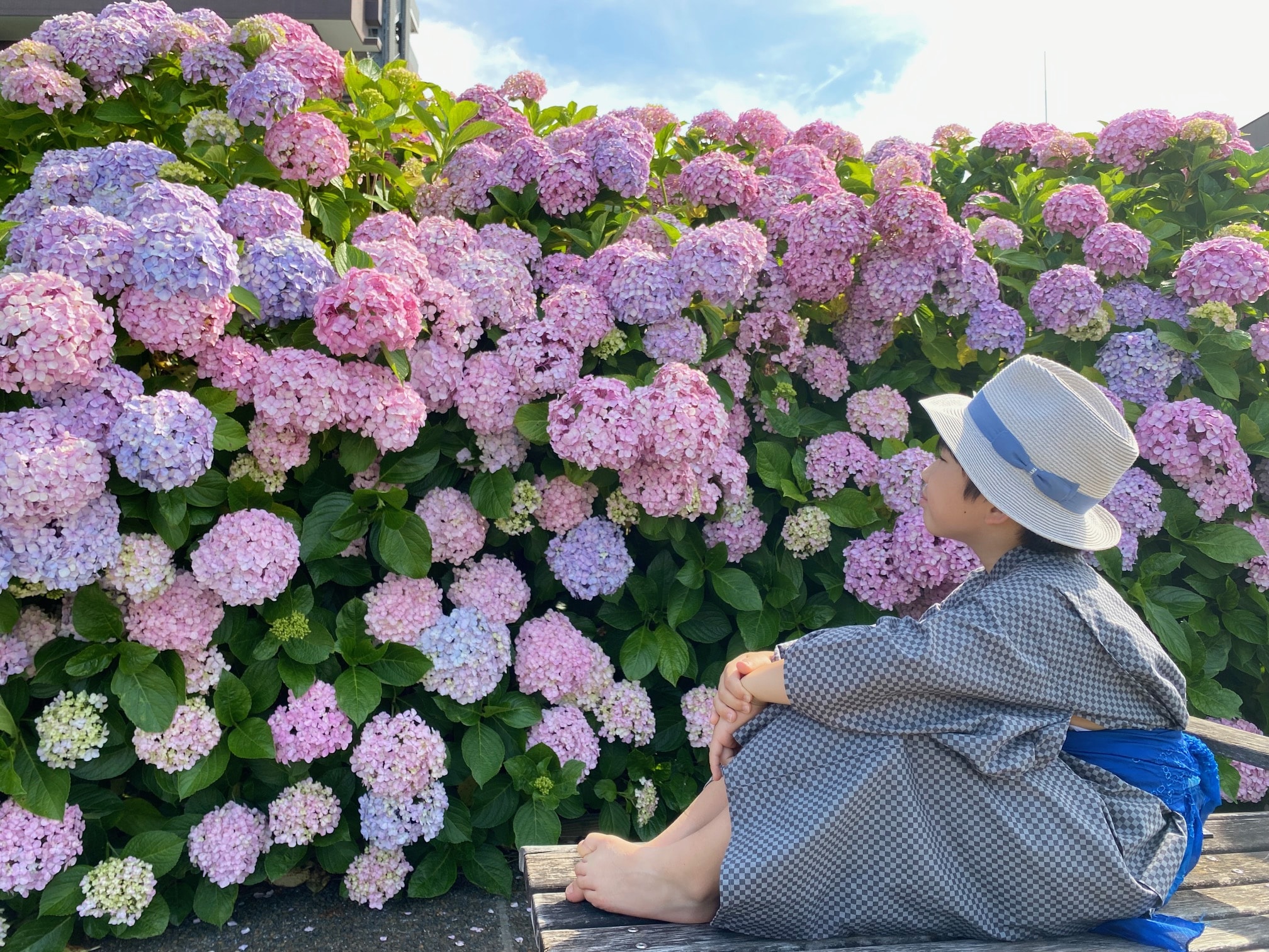 【東京】子どもと行きたい！おすすめの紫陽花スポットを紹介します