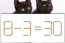 【マッチ棒パズル】正しい式にできるかな？「8－3=30」【毎日脳トレ】