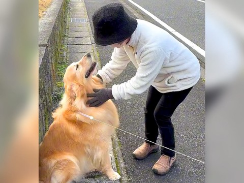 犬が散歩中におばあちゃんと出くわしたら…まるで『恋人』のような再会シーンが262万再生「飛びつかないで配慮しててえらい」と絶賛の声