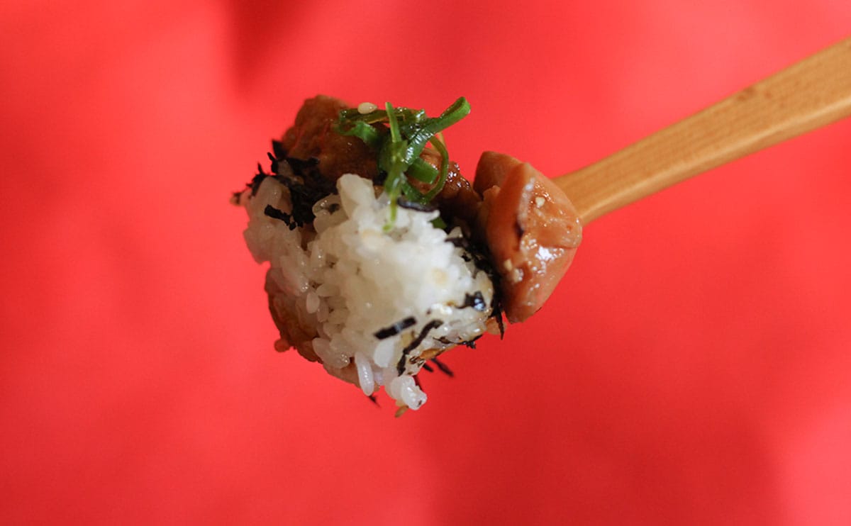 「バカうまかった」「歓喜」【すき家】の新メニューがうまいと聞いて食べてみた