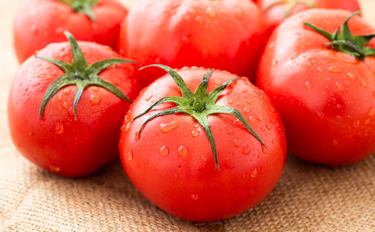 夏野菜の定番『トマト』をおいしく保存する方法