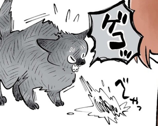 【漫画】猫が急に何かを吐いた!?猫飼い初心者ならではの経験をご紹介【作者に聞く】