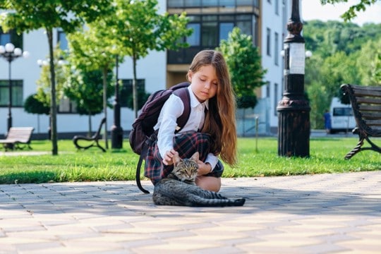 小学校に住み着いた心やさしい猫は、世界中に2万5000人のファンをもつ人気者　英国