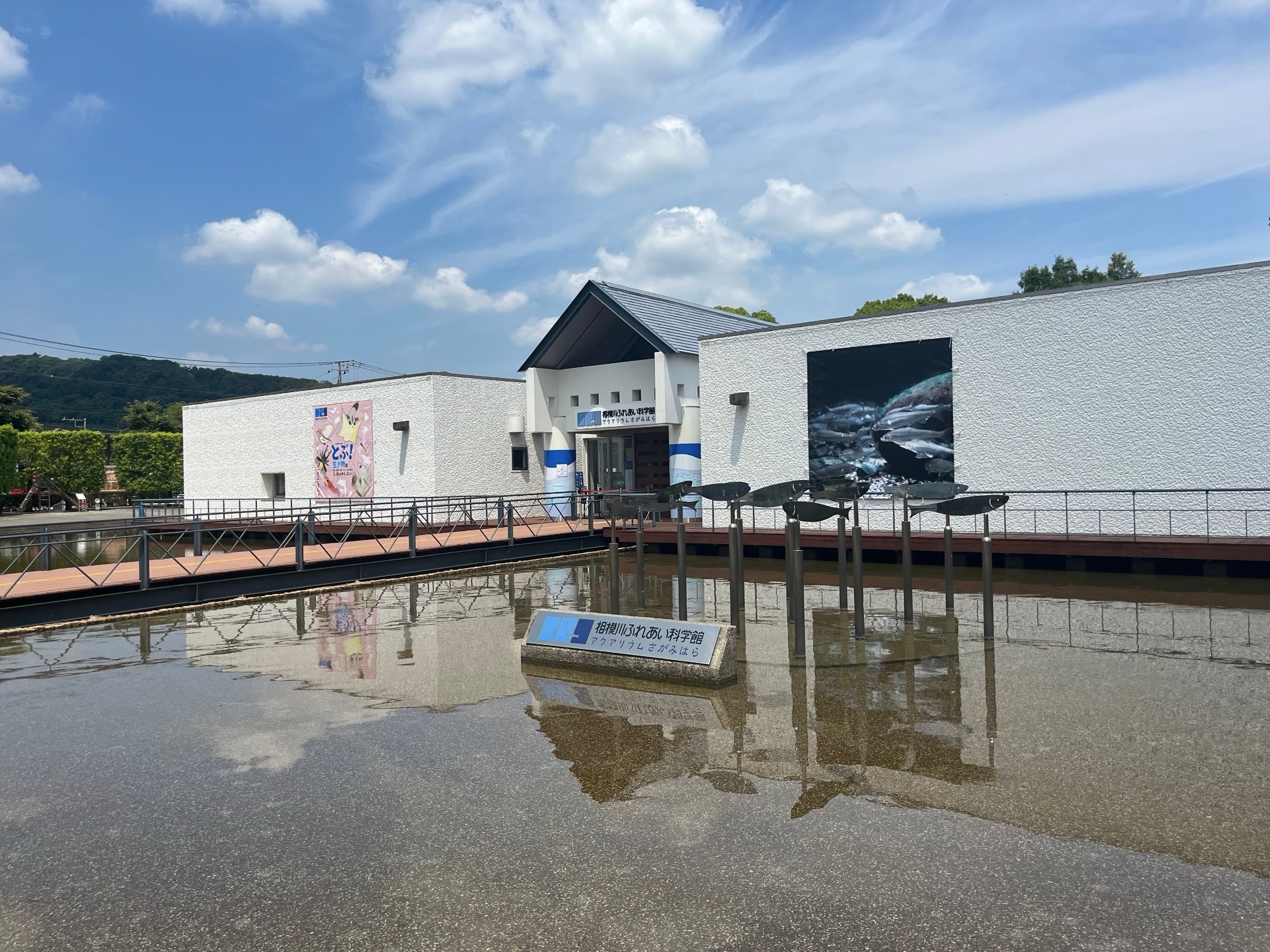 【神奈川エリア】幼児無料！再入場できる水族館「相模川ふれあい科学館」