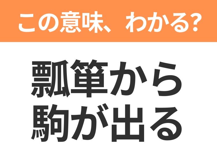 【昭和or Z世代どっち？】「瓢箪（ひょうたん）から駒が出る」この日本語わかりますか？