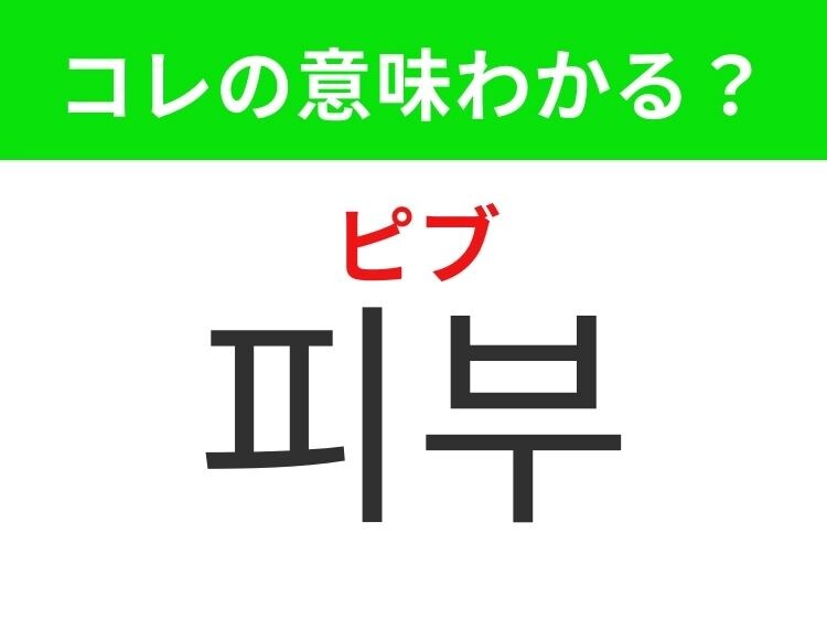 【韓国美容好きは要チェック！】「피부（ピブ）」の意味は？ケアが欠かせないあの場所！覚えておくと便利な韓国語3選