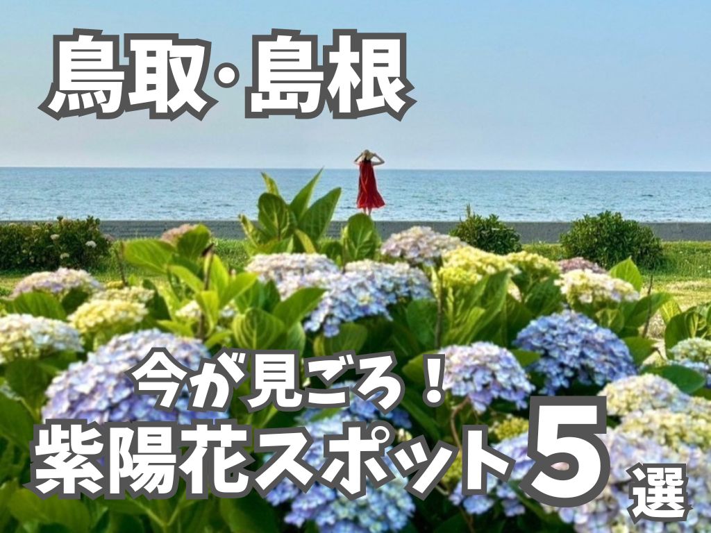 【鳥取・島根】あじさいスポットまとめ５選！海や列車と一緒に見えるスポットも。