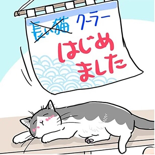 「長い猫、はじめました」夏至のころからだんだんと…暑くなると見られる珍景とは？【作者に聞いた】